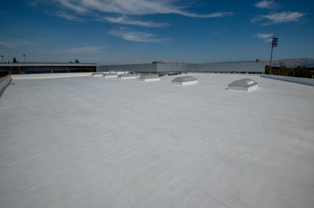 Best Roof Ventilation Installation  in Nedrow, NY