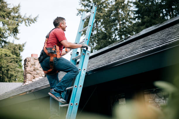 Best Roof Moss and Algae Removal  in Nedrow, NY